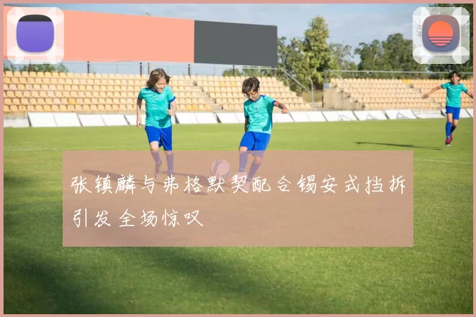张镇麟与弗格默契配合锡安式挡拆引发全场惊叹
