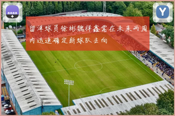留洋球员徐彬魏祥鑫需在未来两周内迅速确定新球队去向