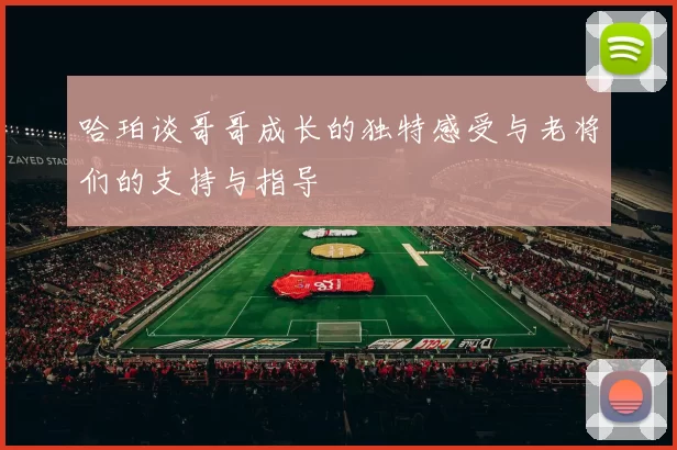 哈珀谈哥哥成长的独特感受与老将们的支持与指导